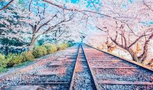 关于往事如烟的句子 一笑而过往事如烟的句子