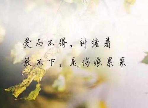 也感谢您的虚伪