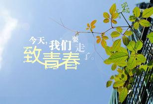 因为他们可能再也看不到了