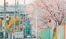 心碎说再见的句子