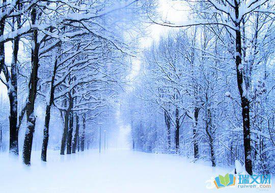 简介：冬天来了大雪