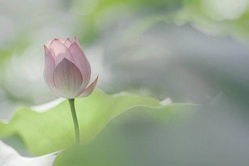 启蒙后