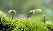 人要知足的说说 知足常乐的心情说说