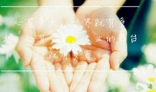 关于积极向上和有正能量的短句子