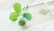 回忆过去的句子,怀念过去的句子