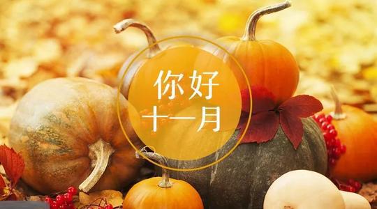 编辑整理了一些有关11月快乐的句子