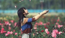 关于经年的唯美句子大全