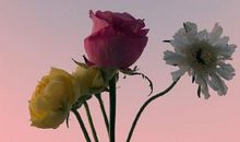 对家庭失望的句子6