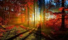 99句重阳节发的朋友圈说说