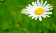 决定以后不再任性的说说