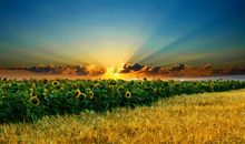 人在最沮丧时候的一句话说说