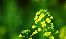 散文《遇见》写亲情的句子