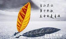 责任与担当的名言