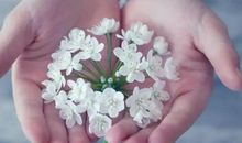 关于校园植树节宣传语 学校号召植树节植树宣传标语