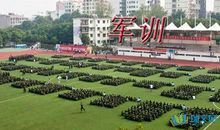 军训的优美句子