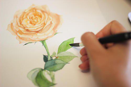 编辑编写了一些描述情感的爱情句子