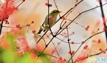 适合发微博的文艺句子 微博很火的句子文艺