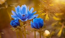 有关亲情的句子简短