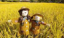 体现浓浓的亲情句子