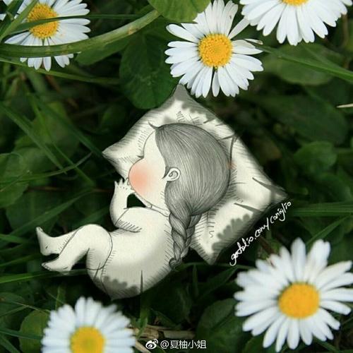 请大家欣赏
