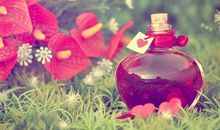 遗忘的时候决然想起