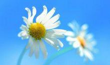 形容亲情的英语句子