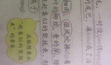 描写燕子外形的句子