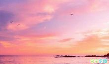 重阳节快乐的句子 九月九重阳节说什么祝福语