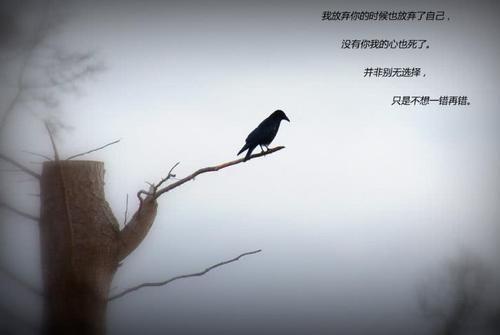 当我凝视着你的背时