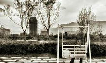 表示被亲情伤透的句子