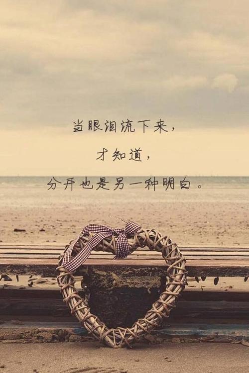 你永远不会知道我的心痛