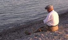 对父母感情失望的句子