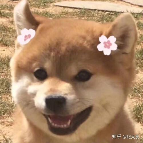编辑编辑了一些非主流的句子