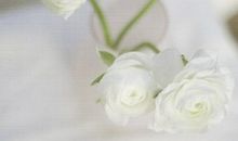 向亲人表达亲情的句子