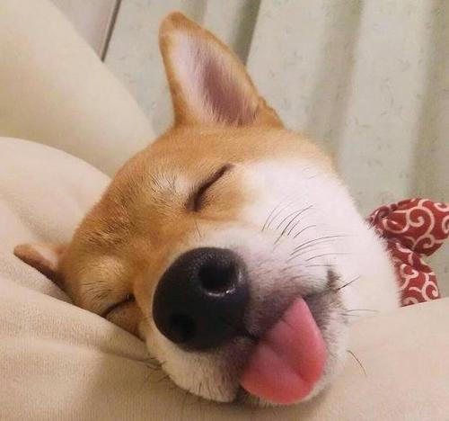 如何使另一个人开心