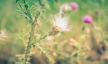 生活感悟经典句子集锦