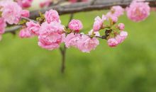 押韵的哲理句子