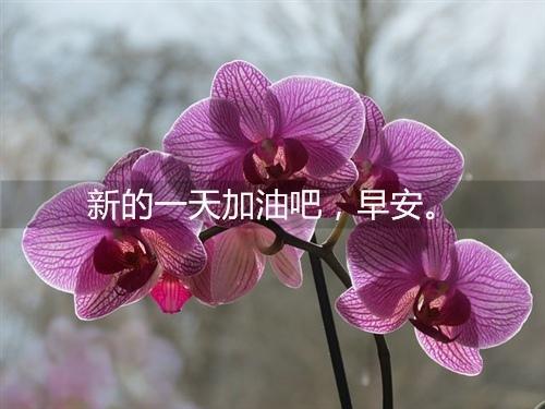 生活永远是善良的