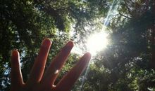 网红丧句 给自己的丧句