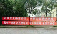 学校创意横幅标语