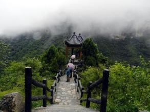 失望
