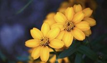 热爱工作热爱生活的说说