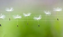 不愿意敞开心扉的说说