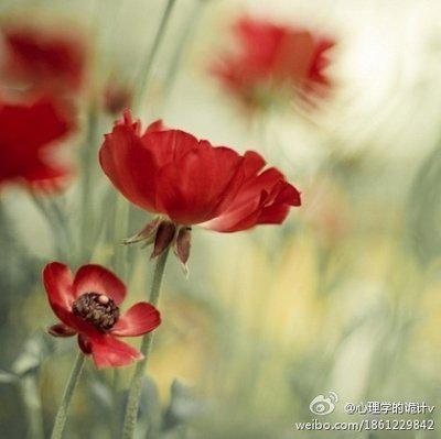 永远不会忘记