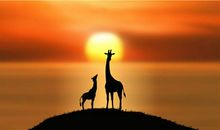 好人有好报的朋友圈说说