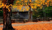 精辟的经典人生哲理句子