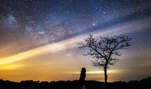 借夜抒情的句子