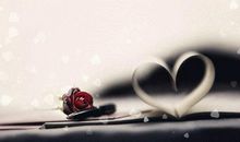 关于爱的抒情句子