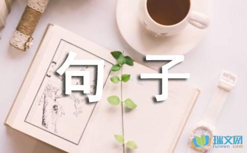 关于字句的描述 关于字句的描述1   1