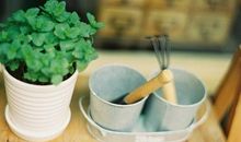 形容机会来之不易的经典句子